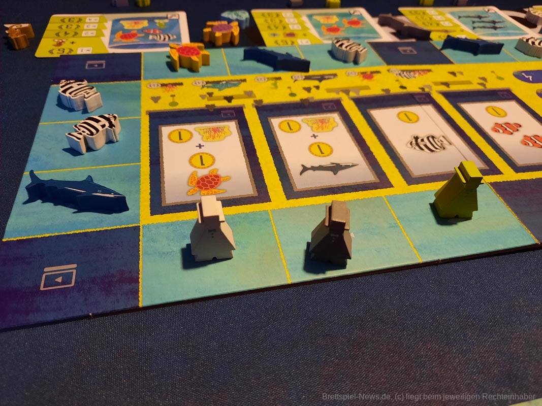 aqua garden test 008