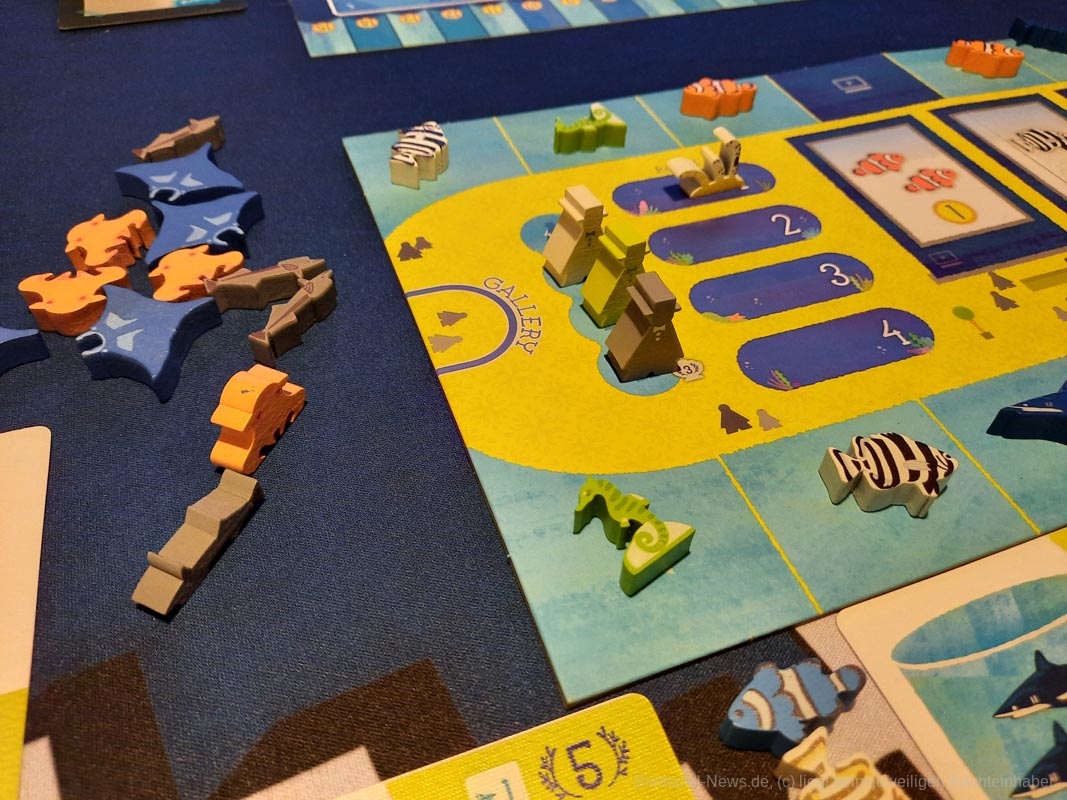 aqua garden test 011