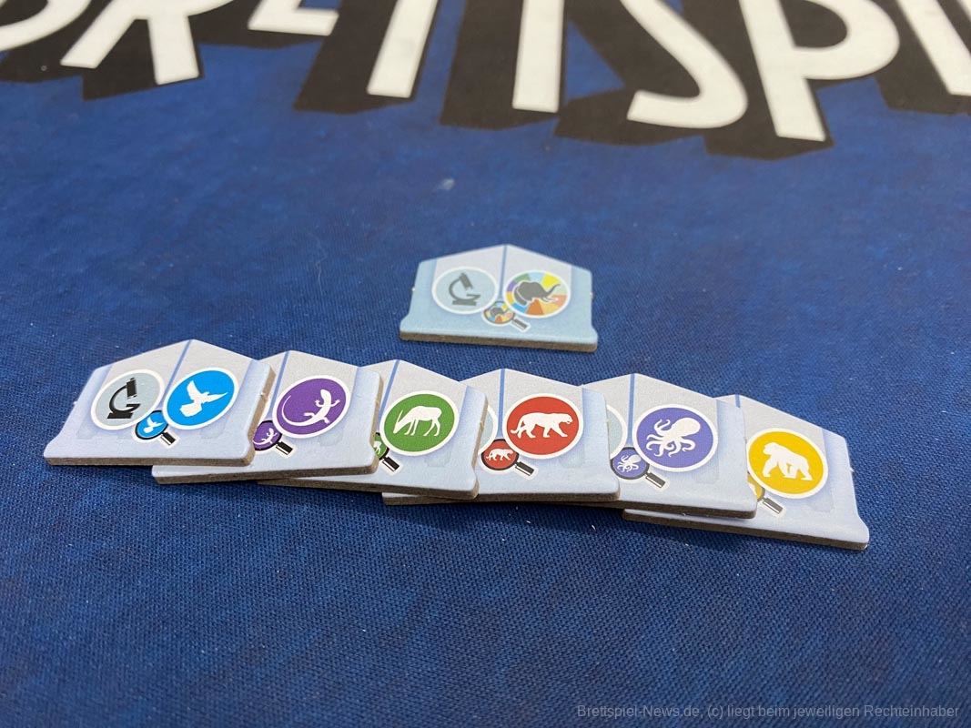 achre nova wasswelten 000