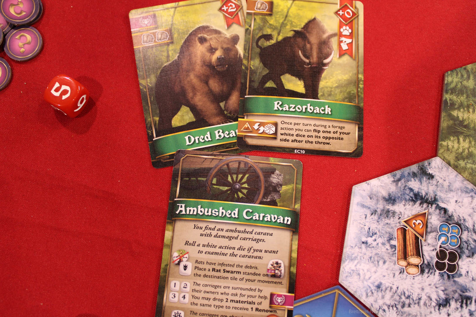 ascendia spiel 2025 005