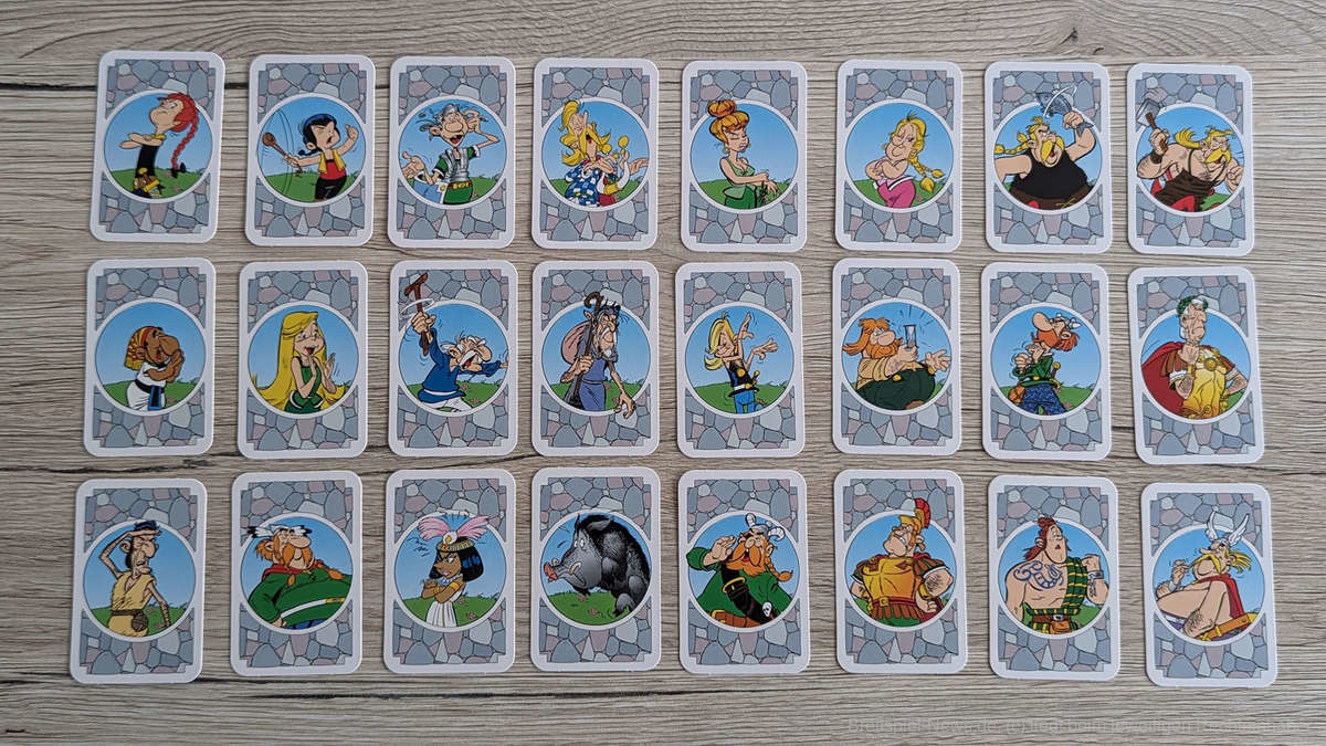 asterix obelix labyrinth test 004