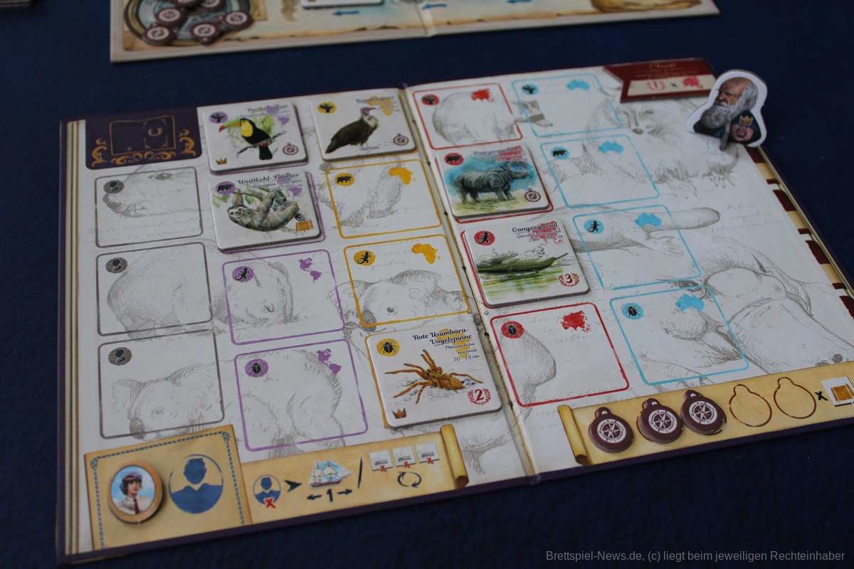 auf den wegen von darwin 006