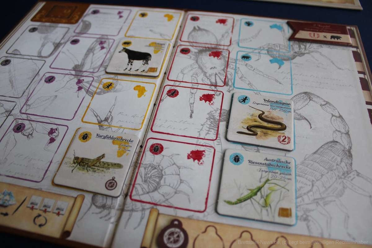 auf den wegen von darwin 008