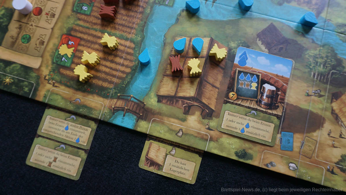 bear and bread test 04