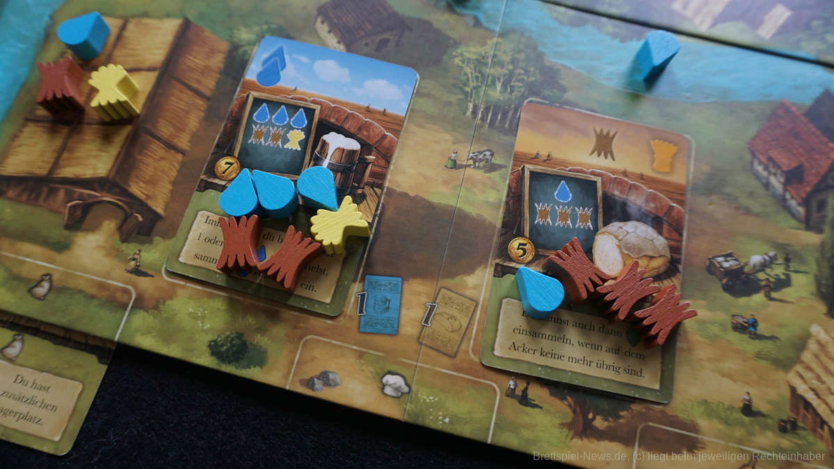 bear and bread test 06