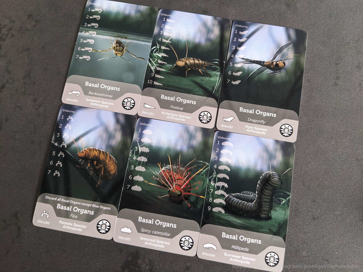 bios mesofauna test 008