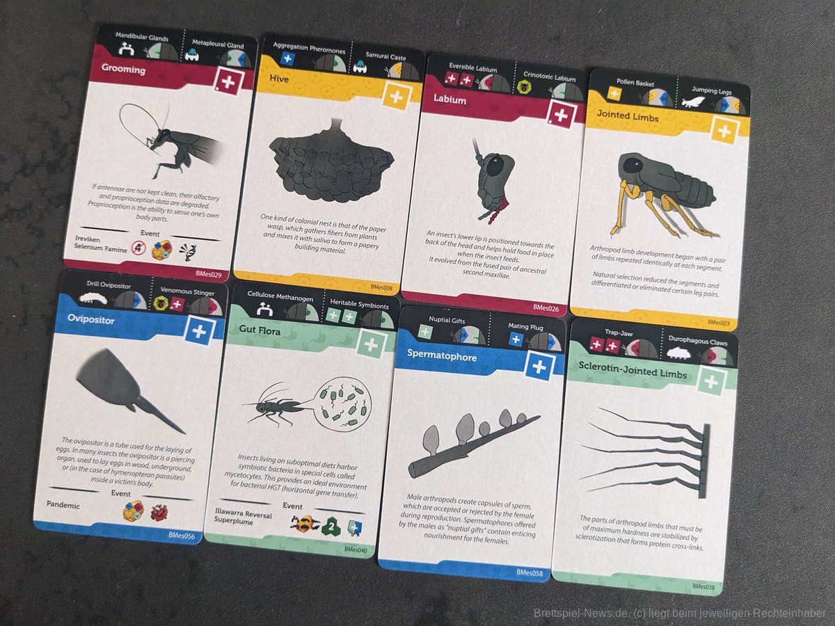 bios mesofauna test 009