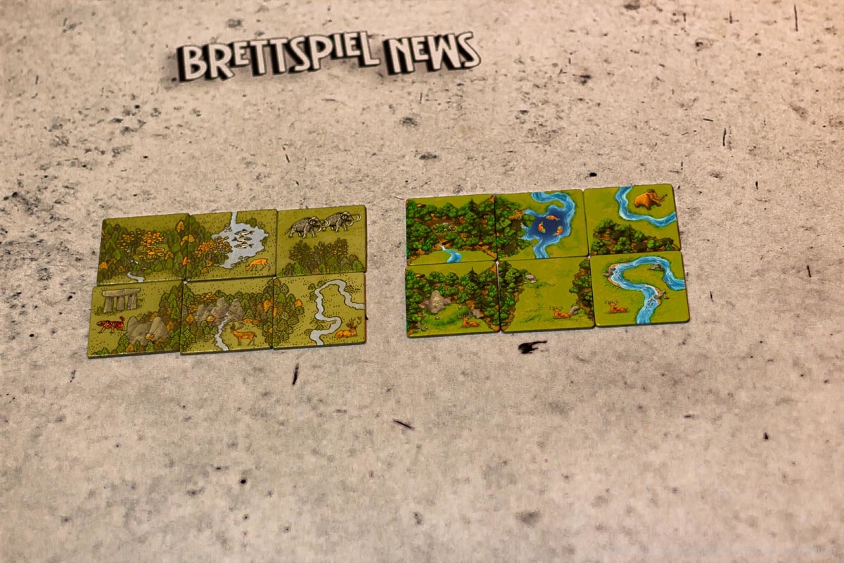 carcassonne vergleich04