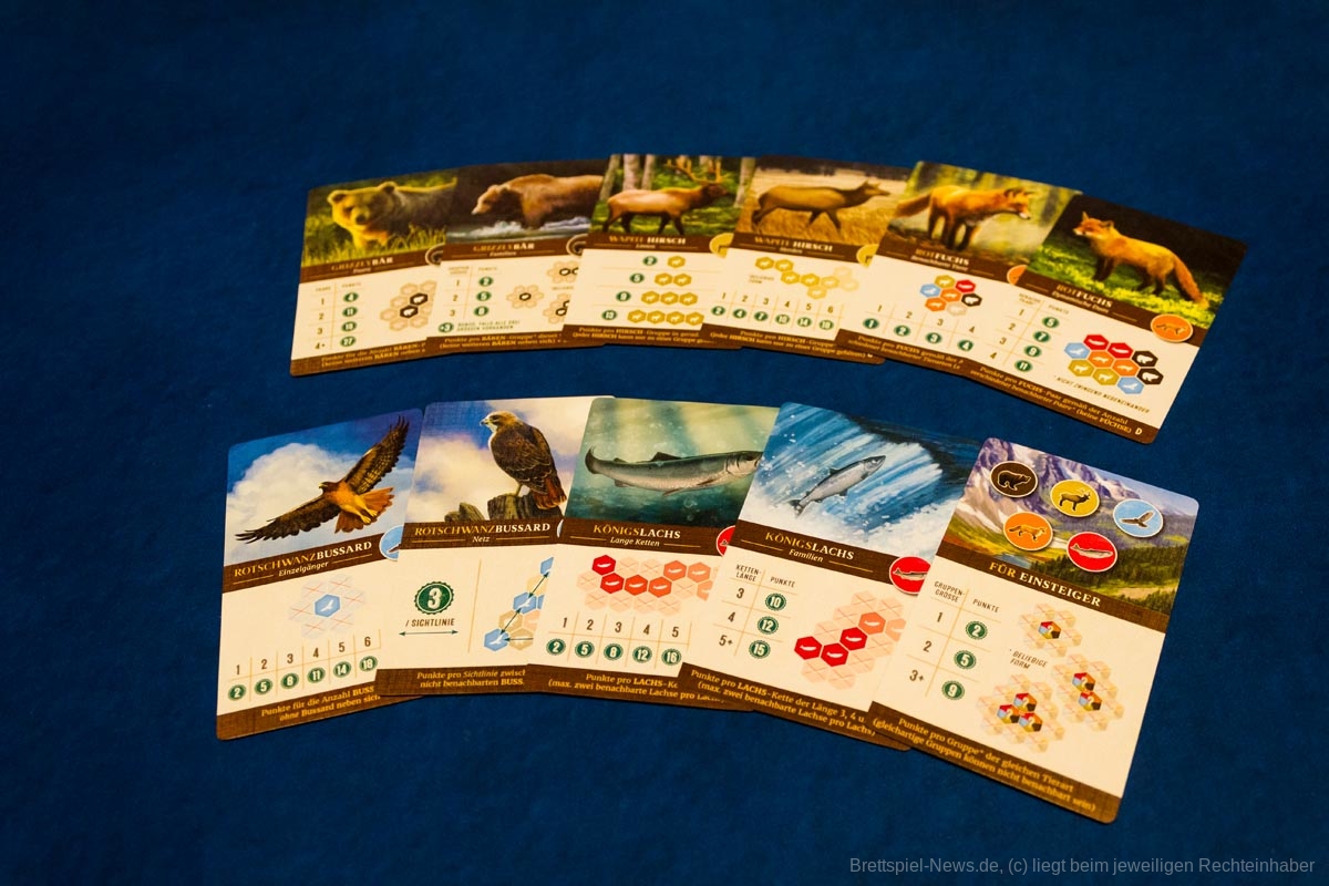 cascadia kosmos de 005