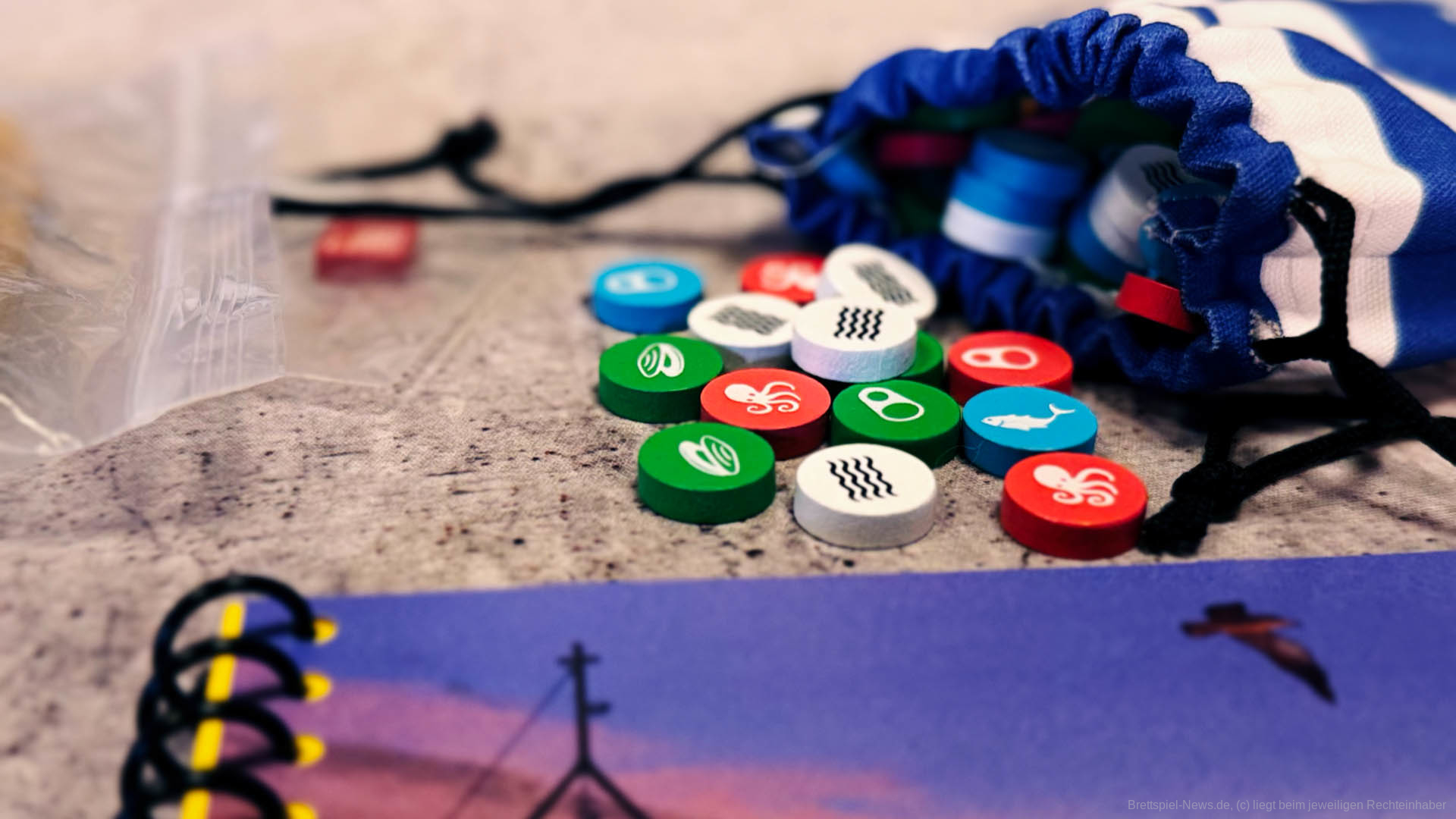 conservas neue bilder 002