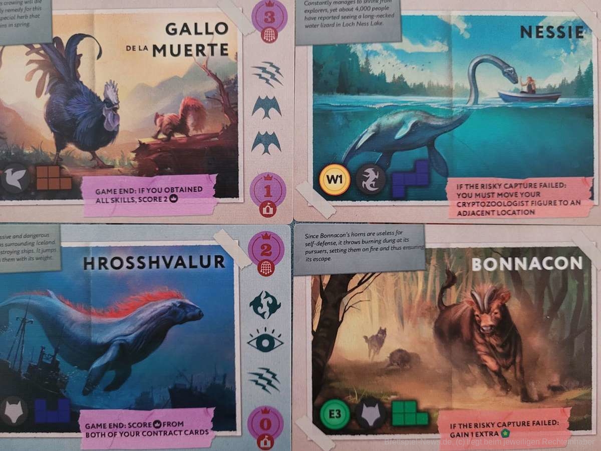 cryptic nature test 022