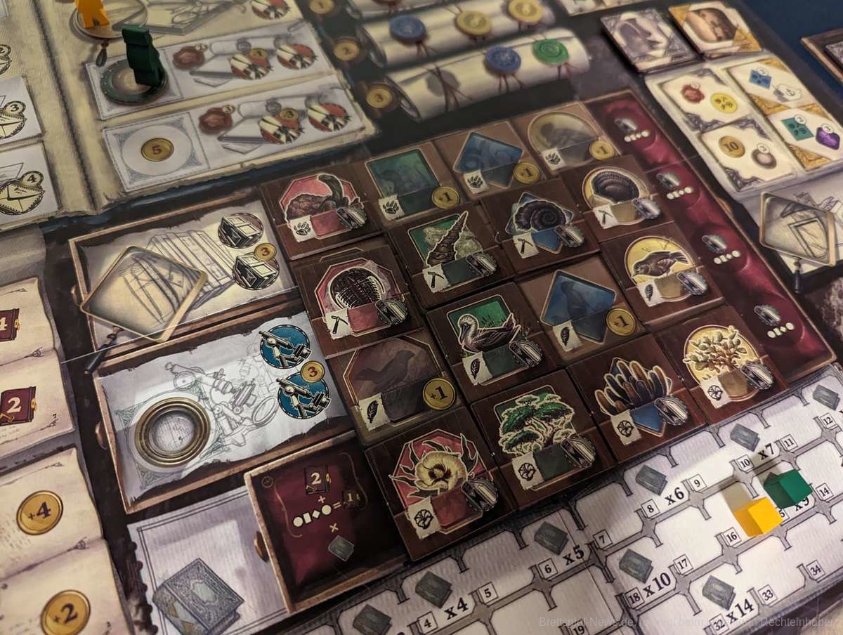 darwins journey test 003