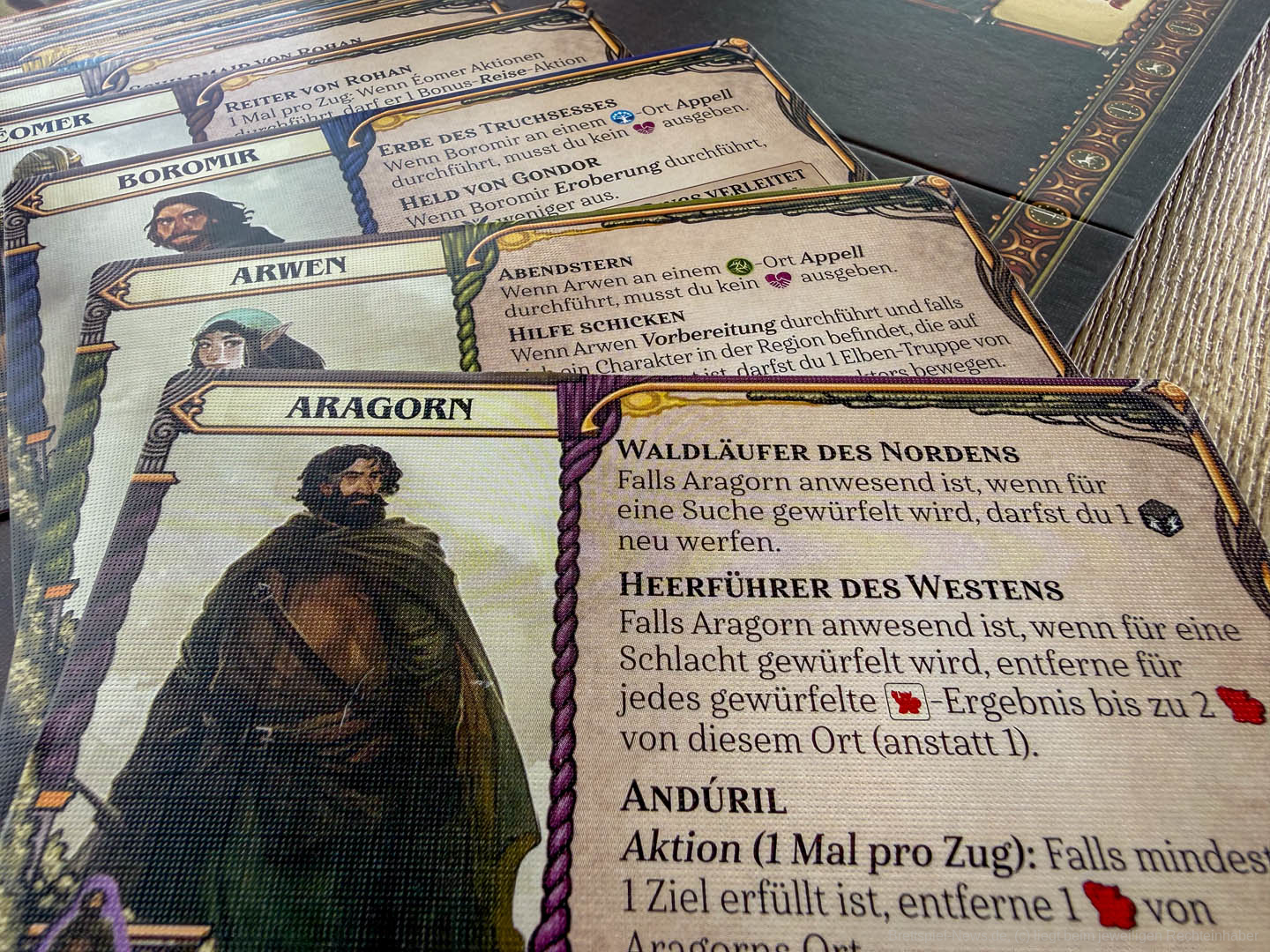 herr der ringe die gemeinschaft 009