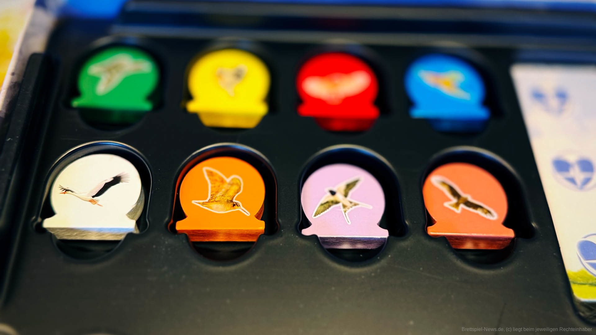 die große reise 002