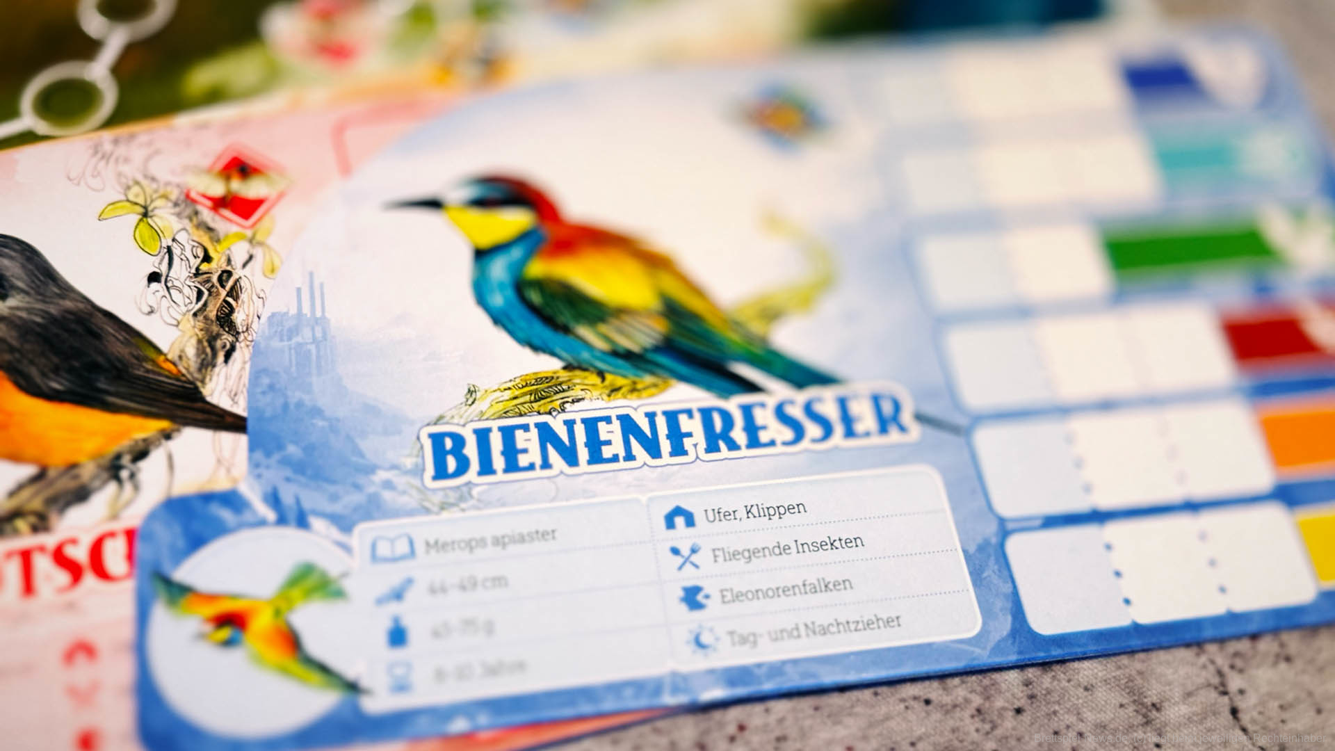 die große reise 003