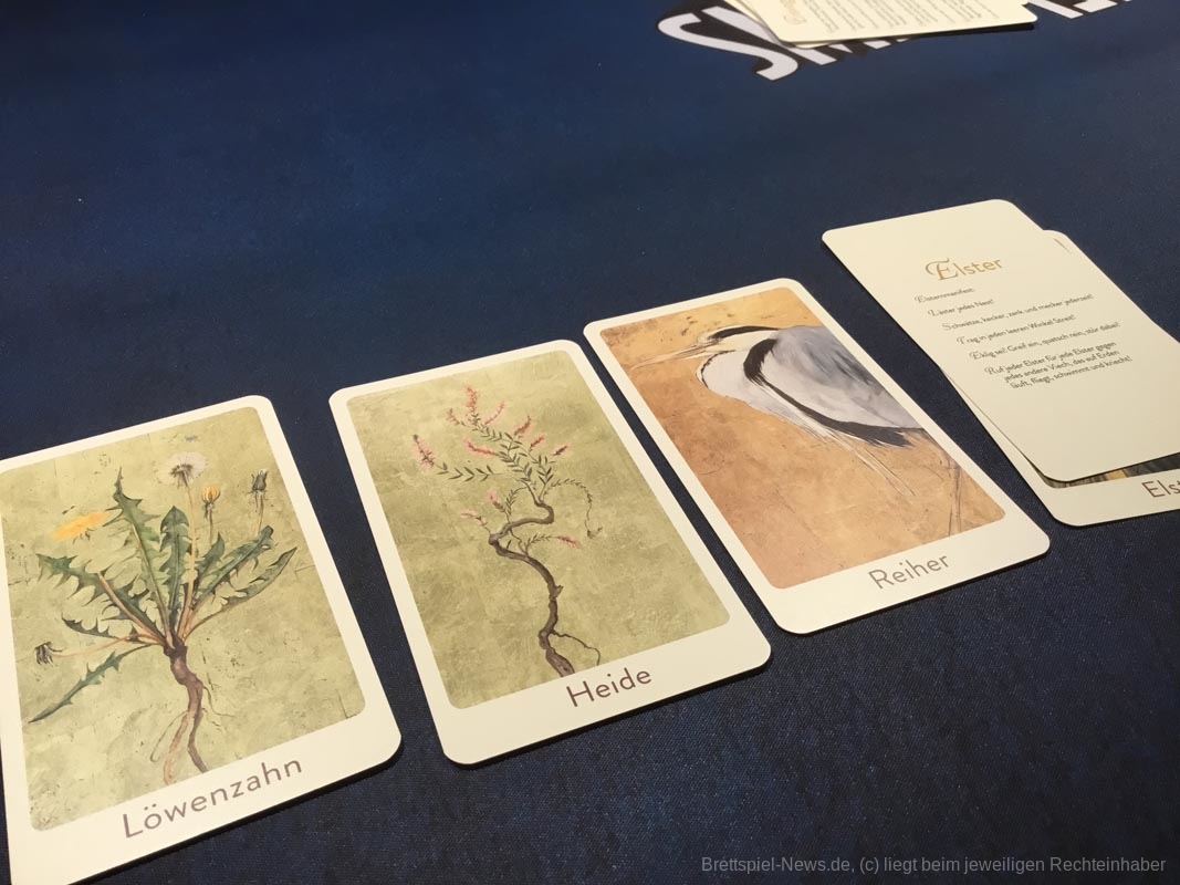 die verlorenen woerter test 01