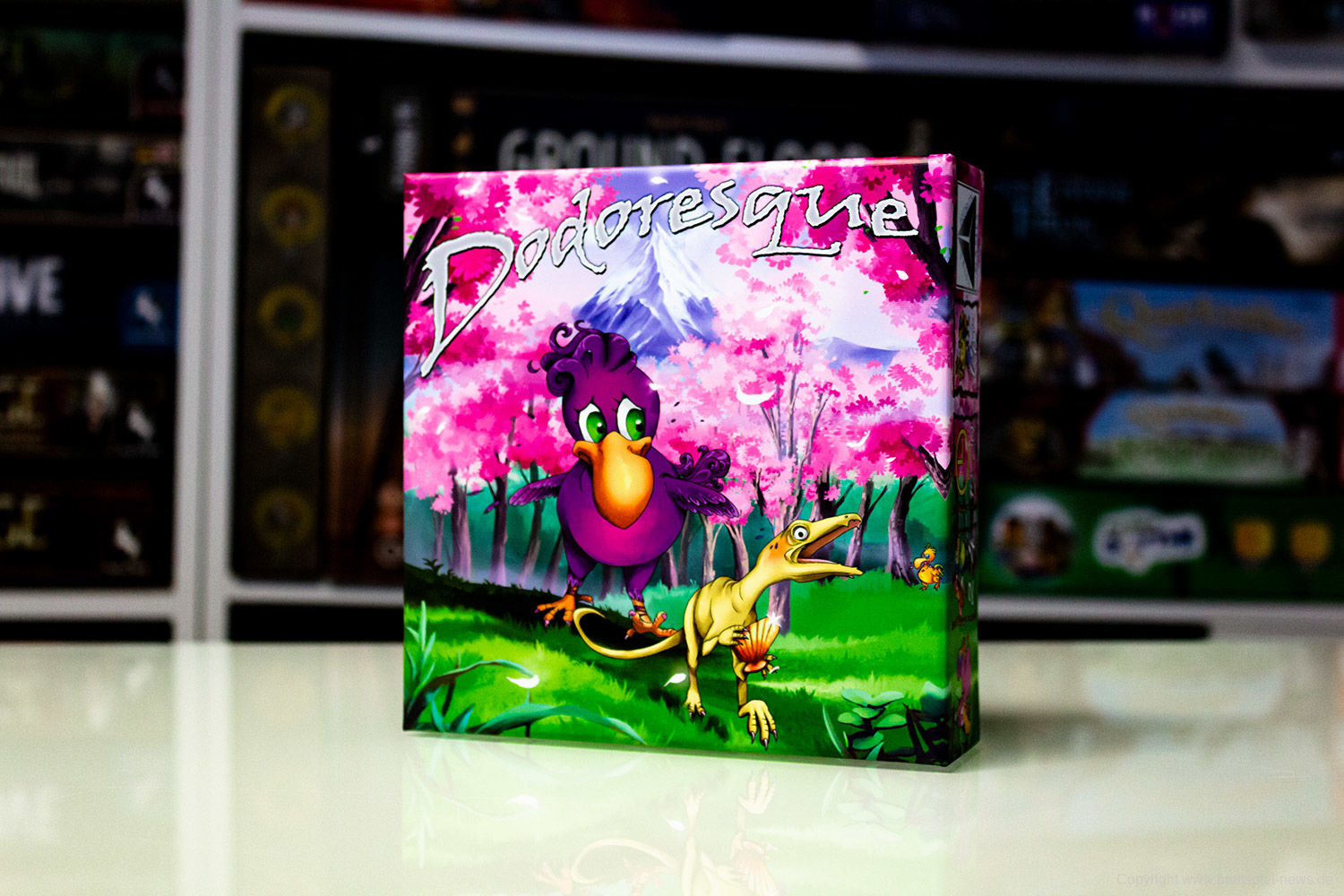 DODORESQUE // Erste Bilder von Cherry Blossom