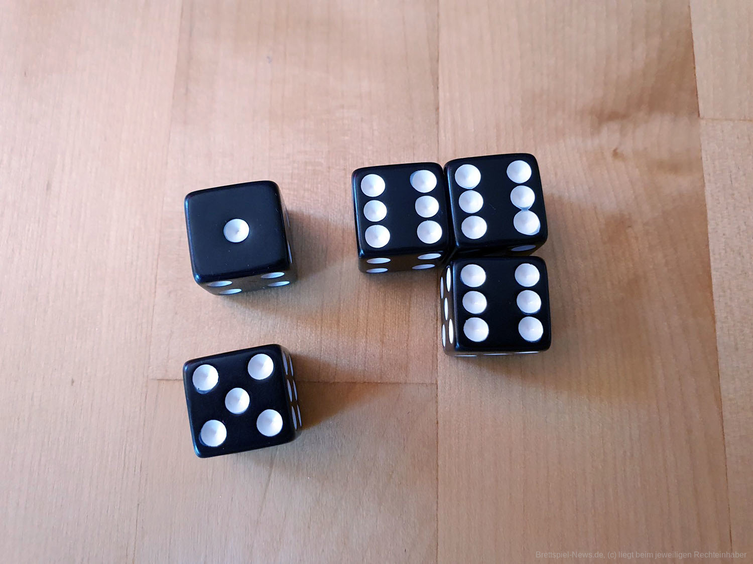 ed the cat yatzy 105