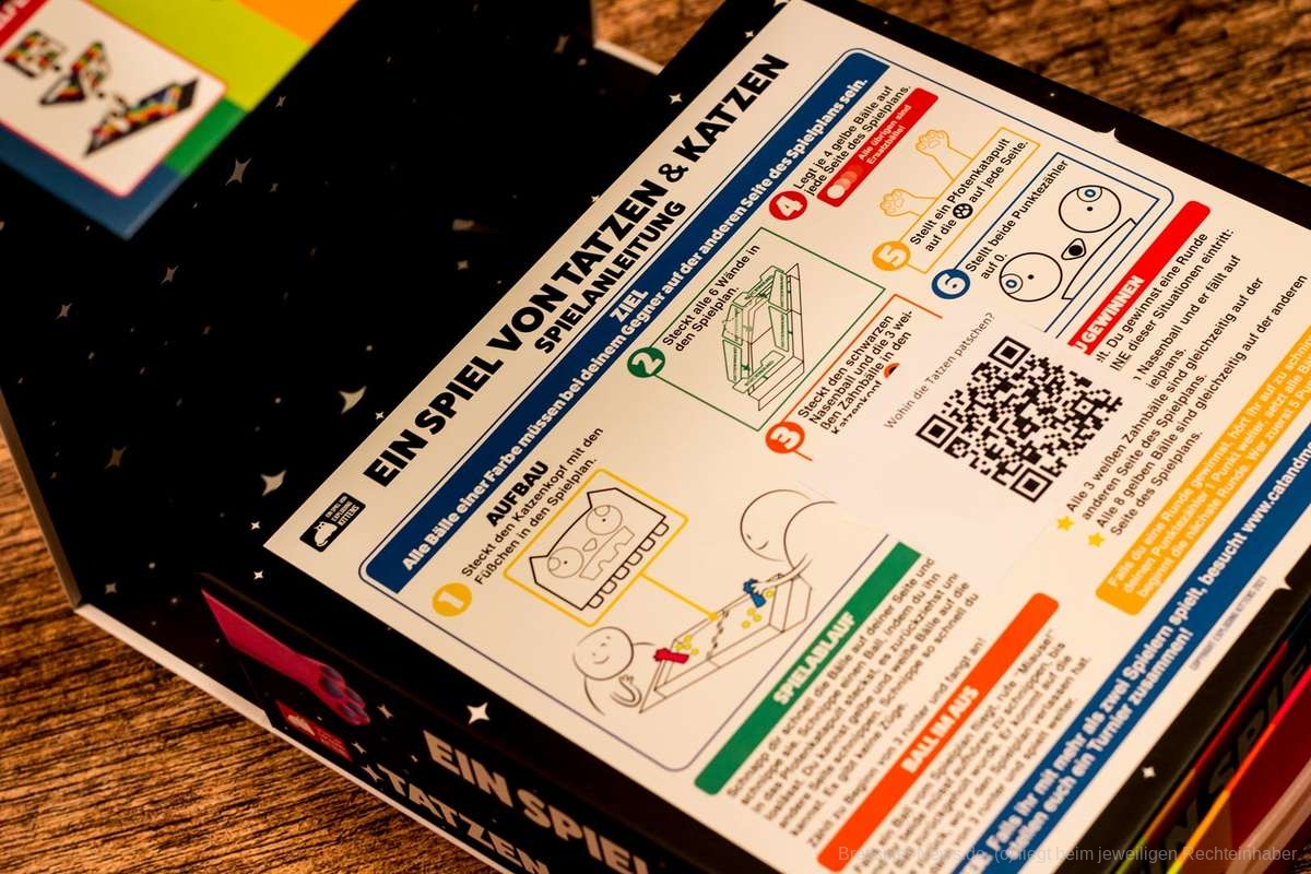 ein spiel von tatzen und katzen 002