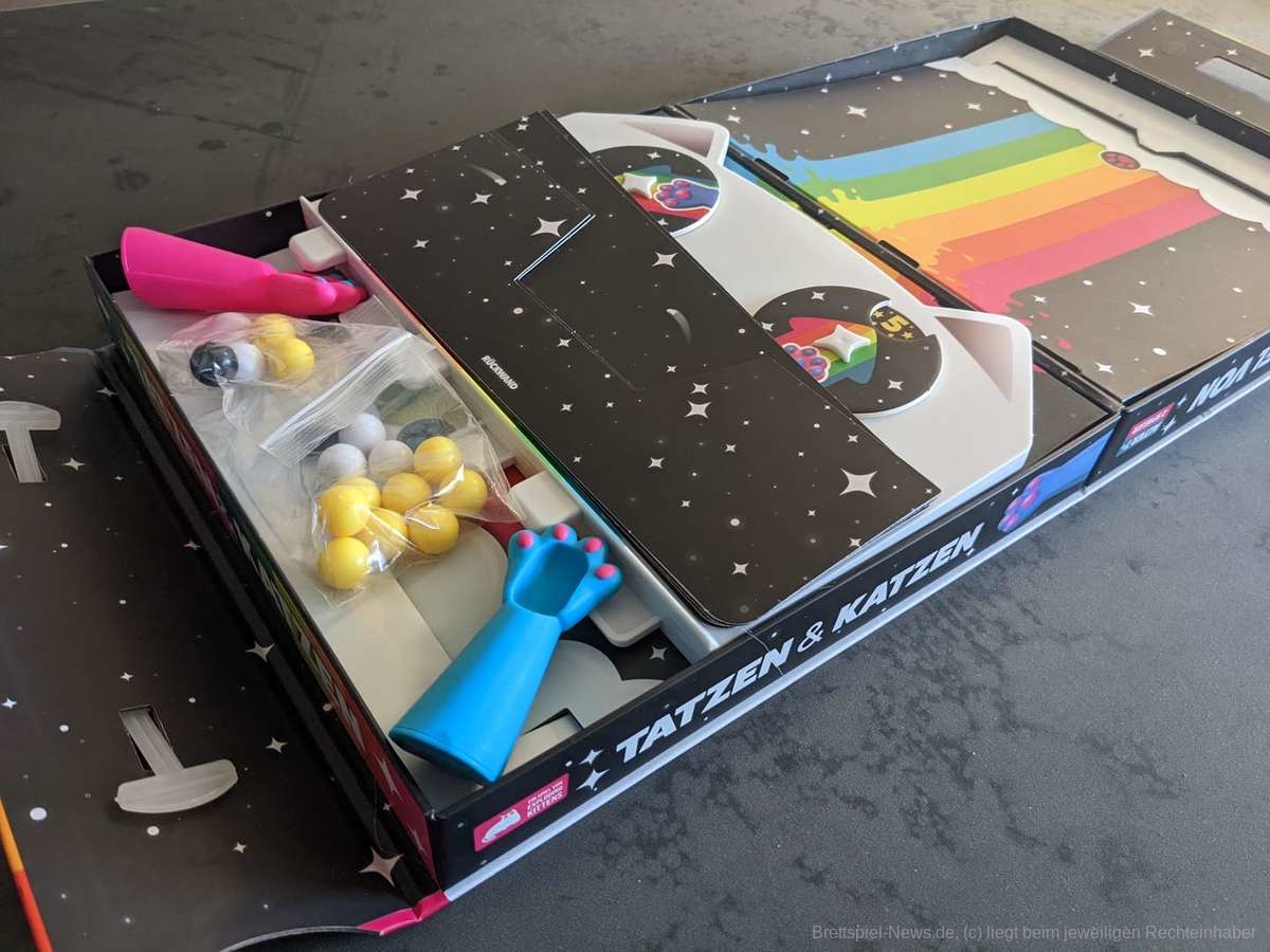ein spiel von tatzen und katzen test 008