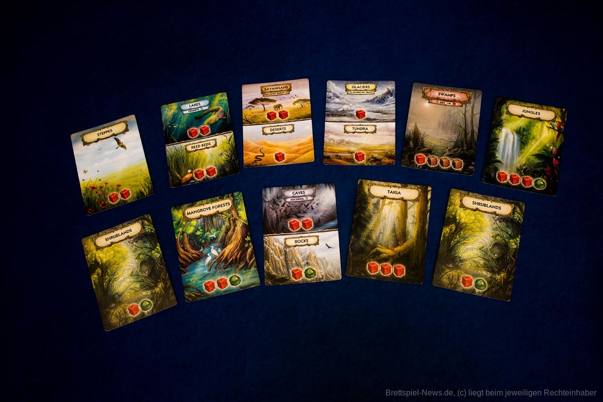 evolution new world 008