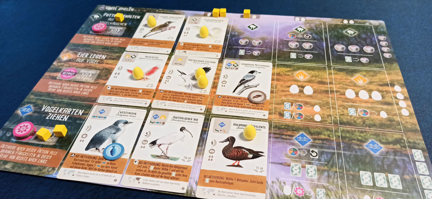 fluegelschlag ozeanien 100