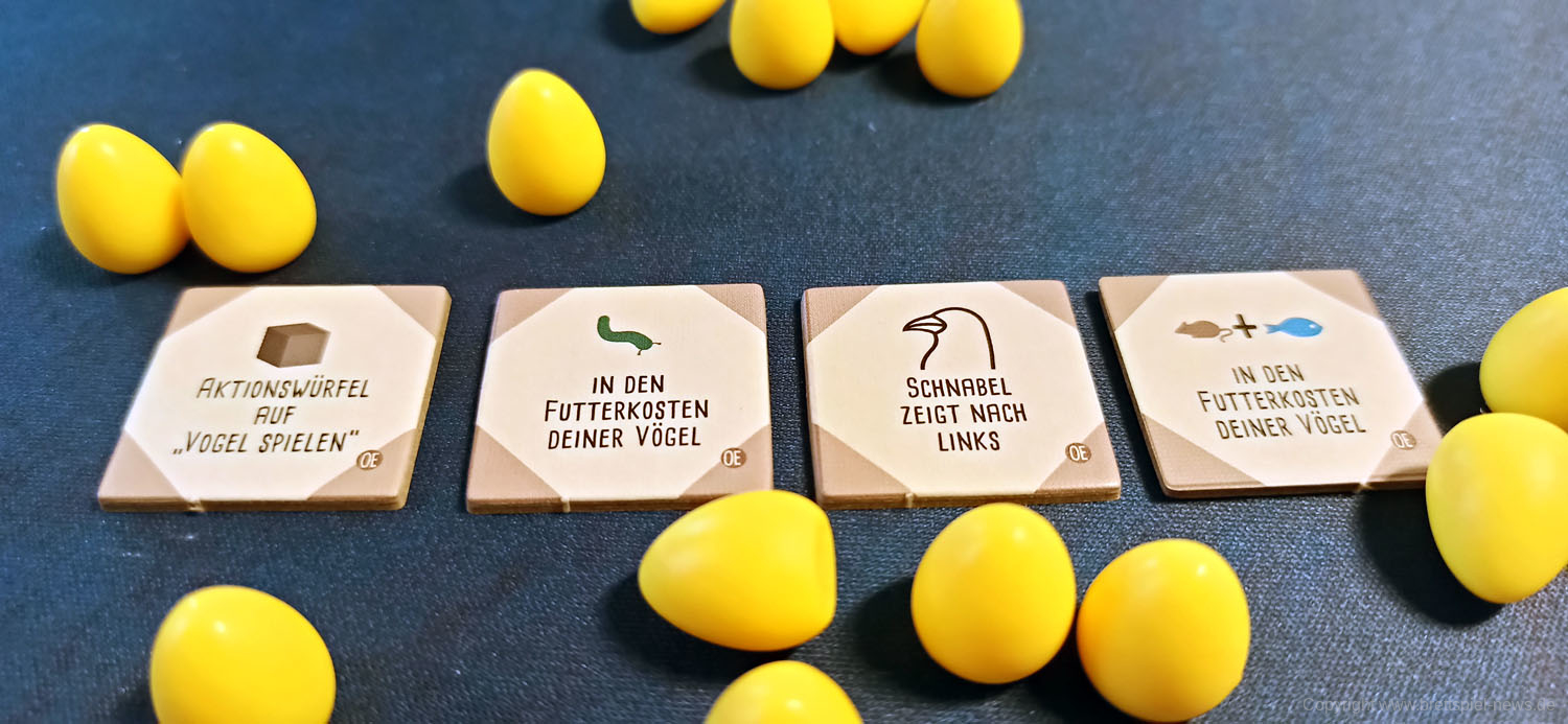 fluegelschlag ozeanien 102