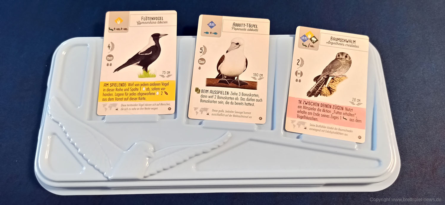 fluegelschlag ozeanien 104