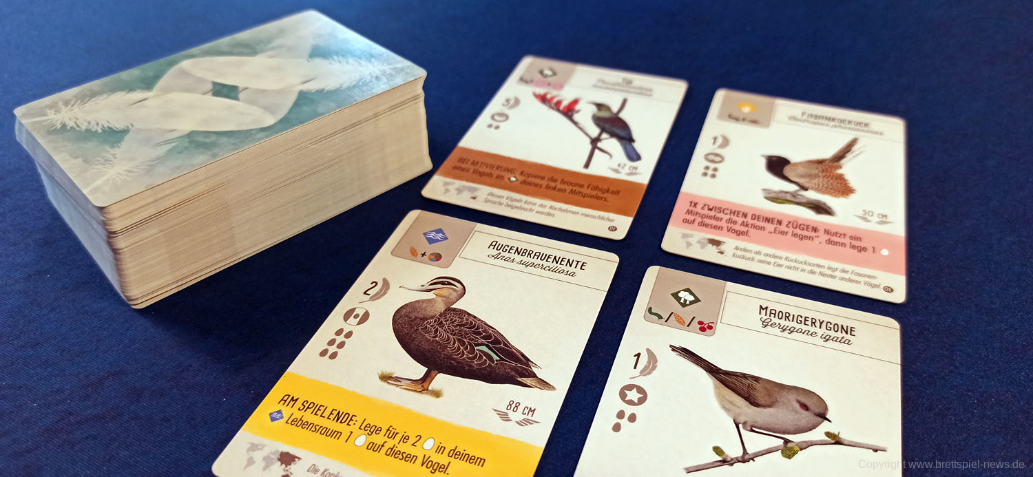 fluegelschlag ozeanien 107