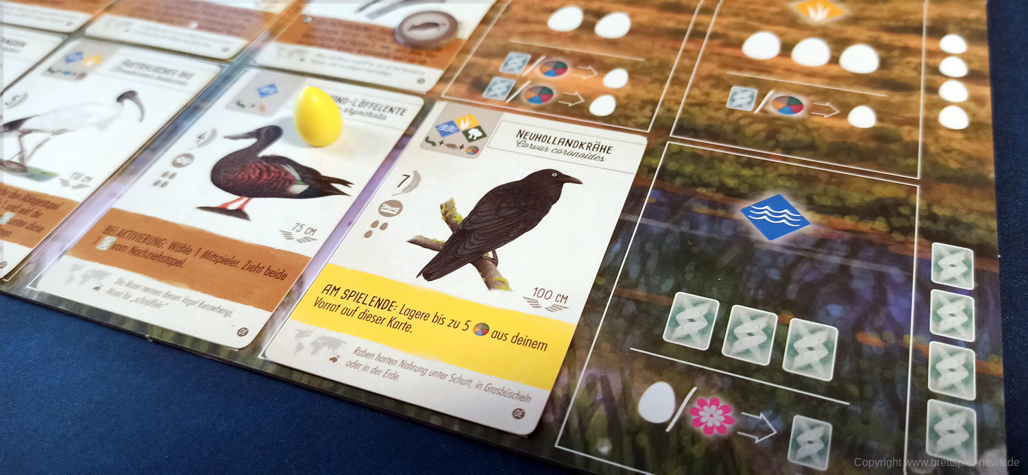 fluegelschlag ozeanien 108