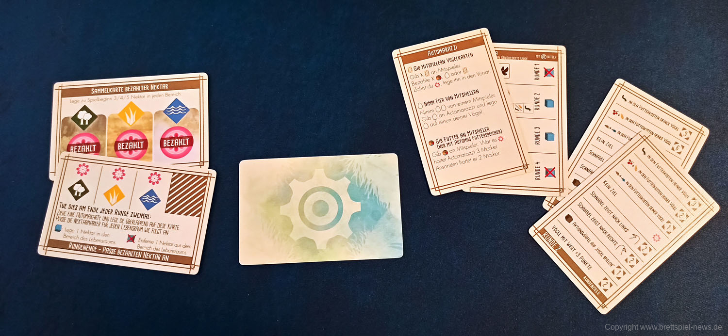 fluegelschlag ozeanien 110