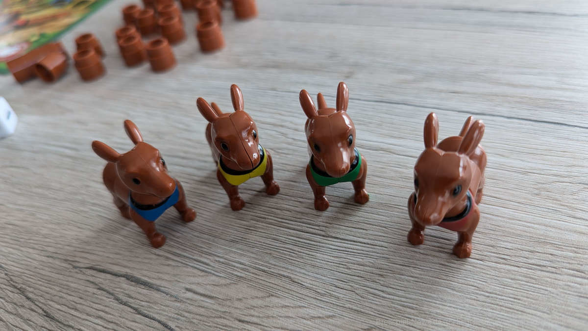 go doggy go test 006