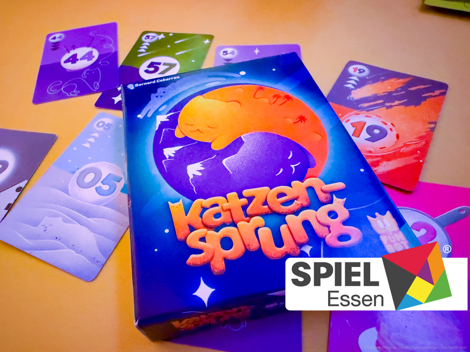 Richtig gute Katzenbilder und Spielspaß - was wollen wir mehr?