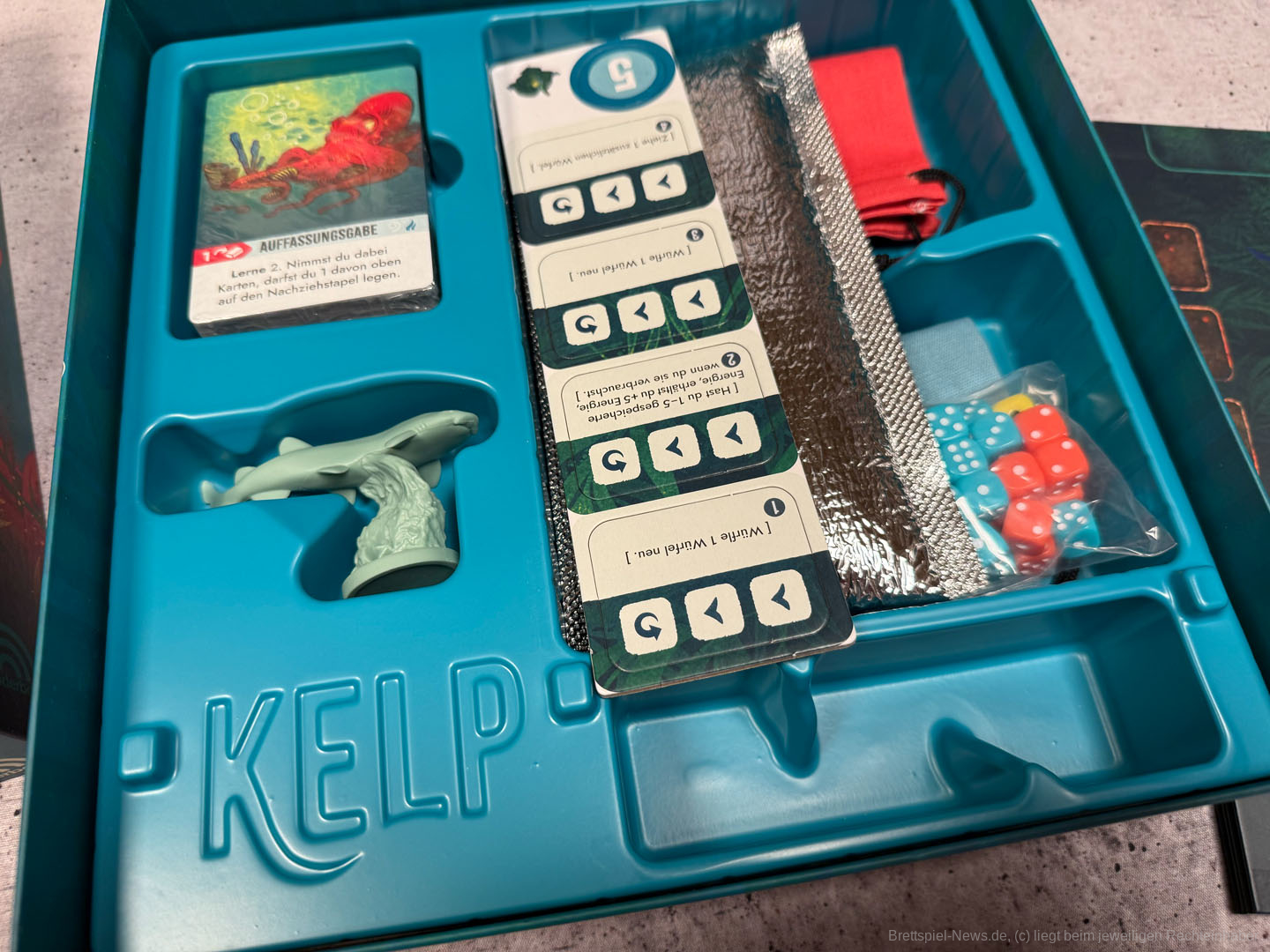 kelp retail 003