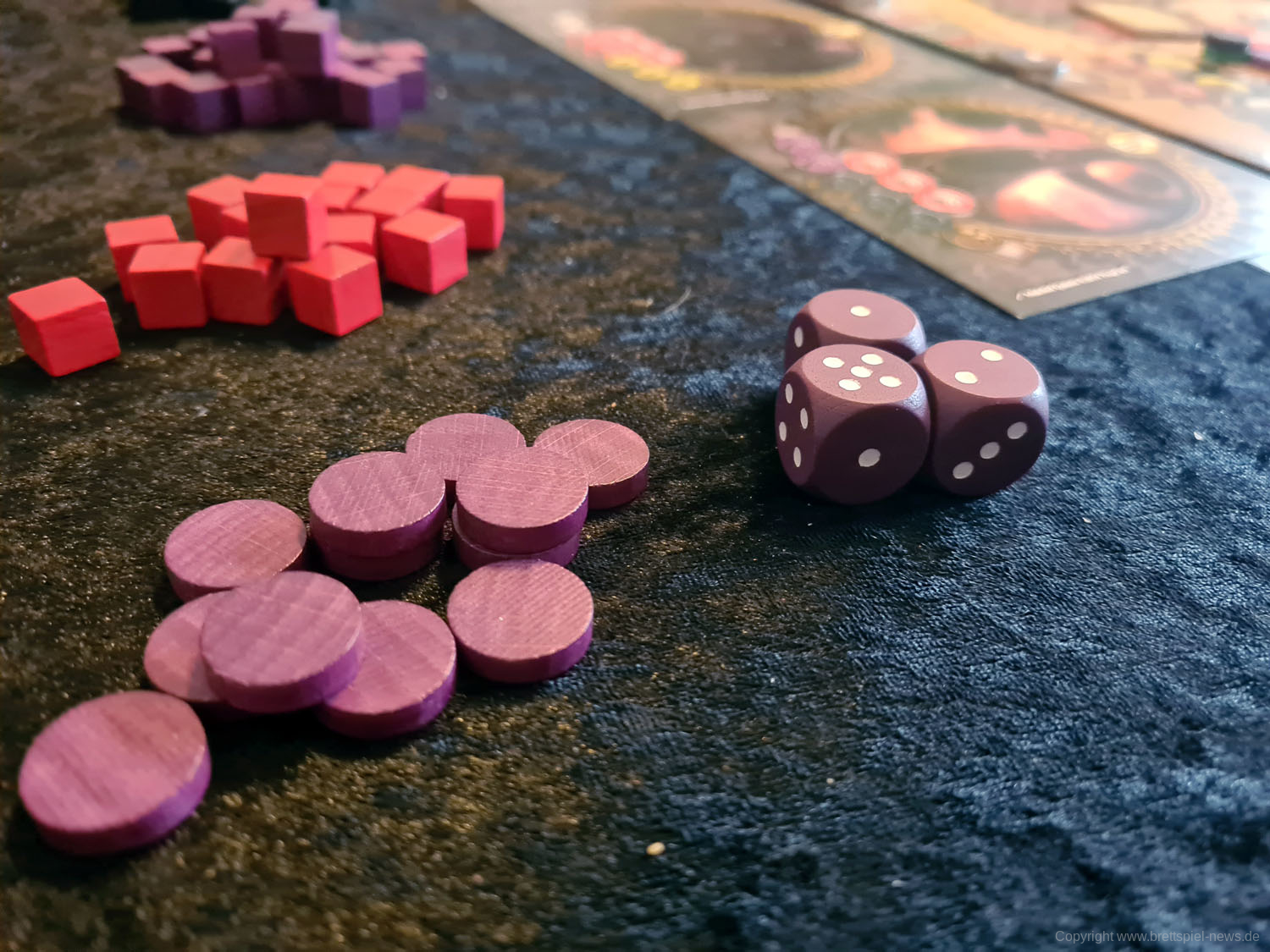 kingsport festival 102