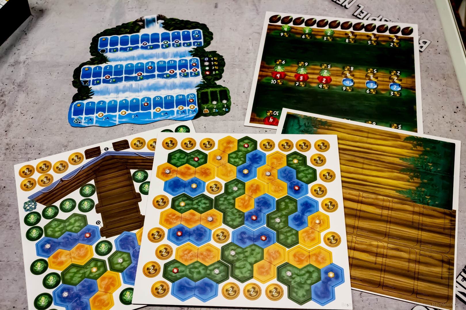 life of amazonia 003