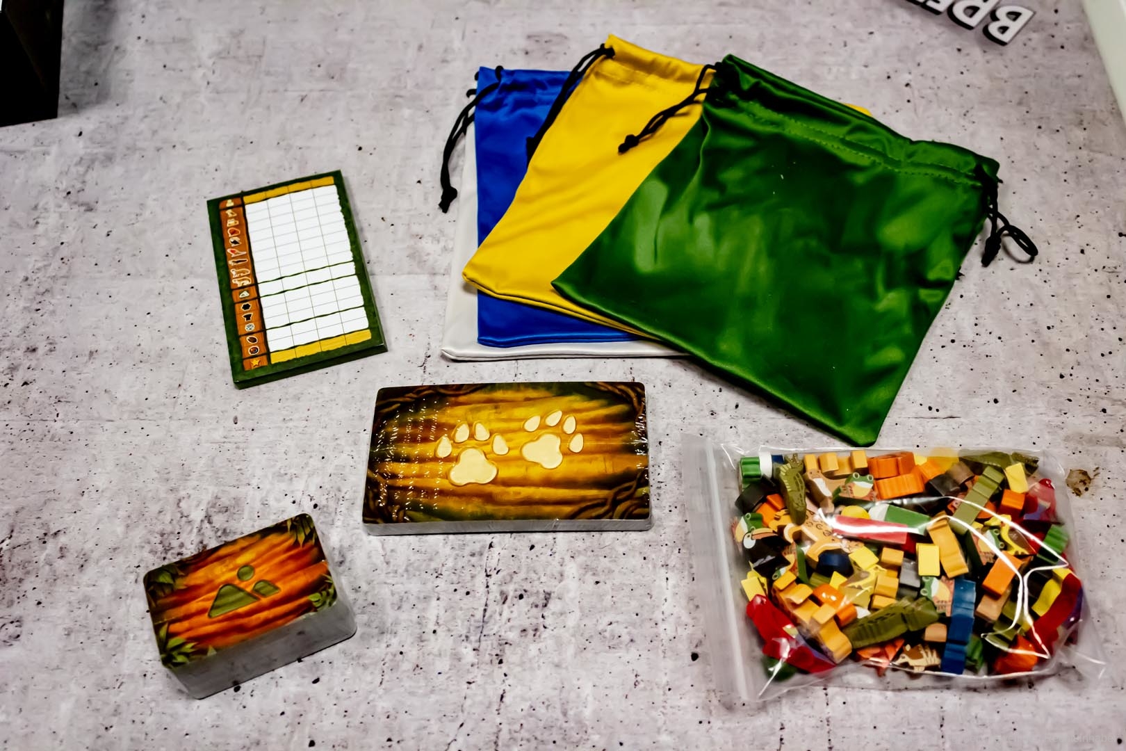 life of amazonia 005