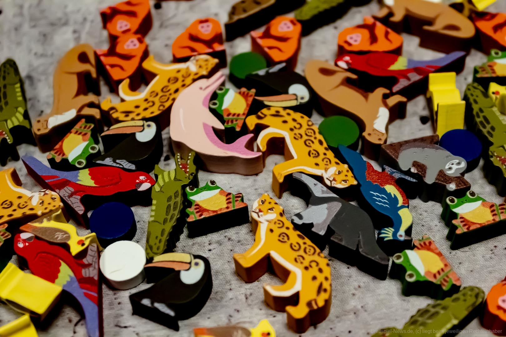 Was ist das für ein hübsches neues Spiel?