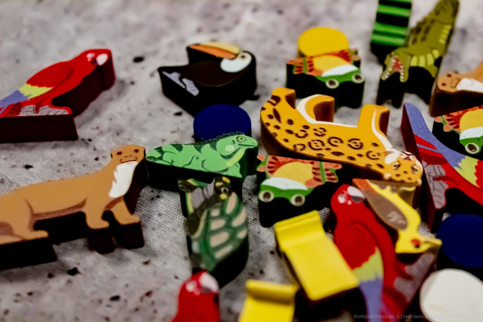 life of amazonia 008