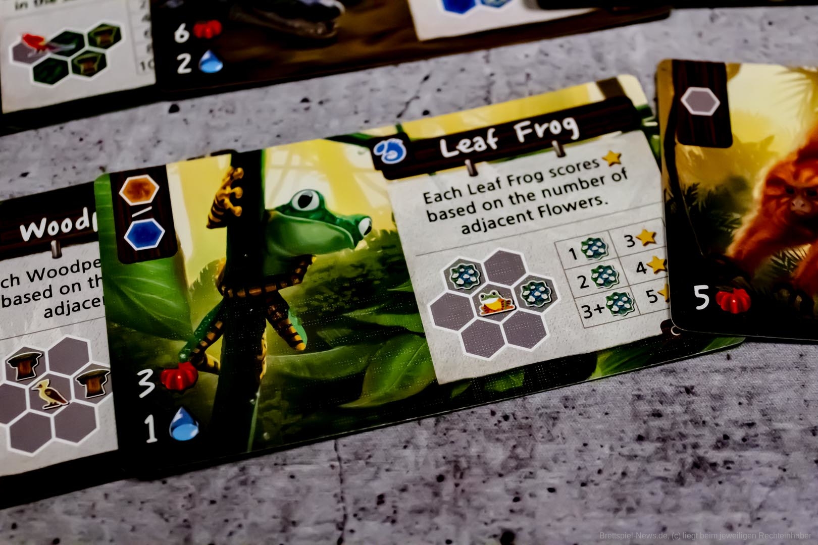 life of amazonia 010