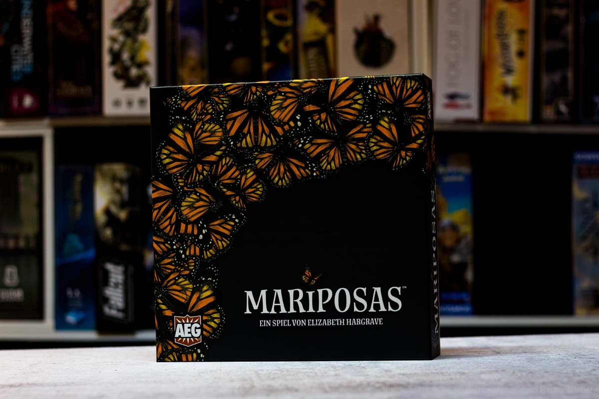 TEST // MARIPOSAS