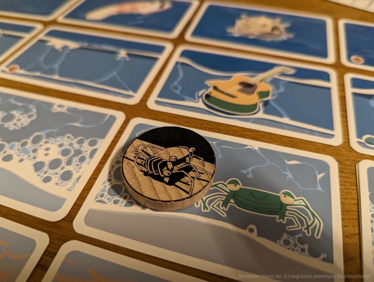 marsch der krabben test 004