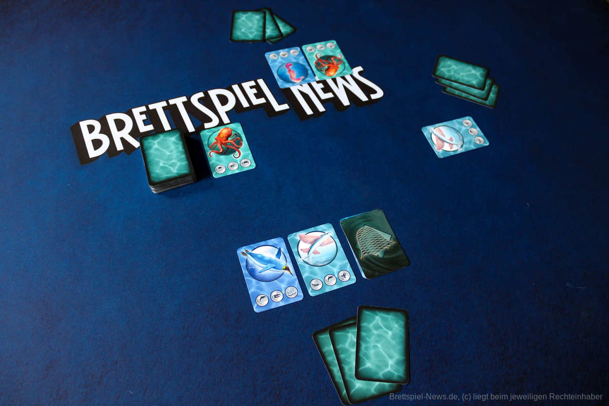 Meeresrauschen test 005