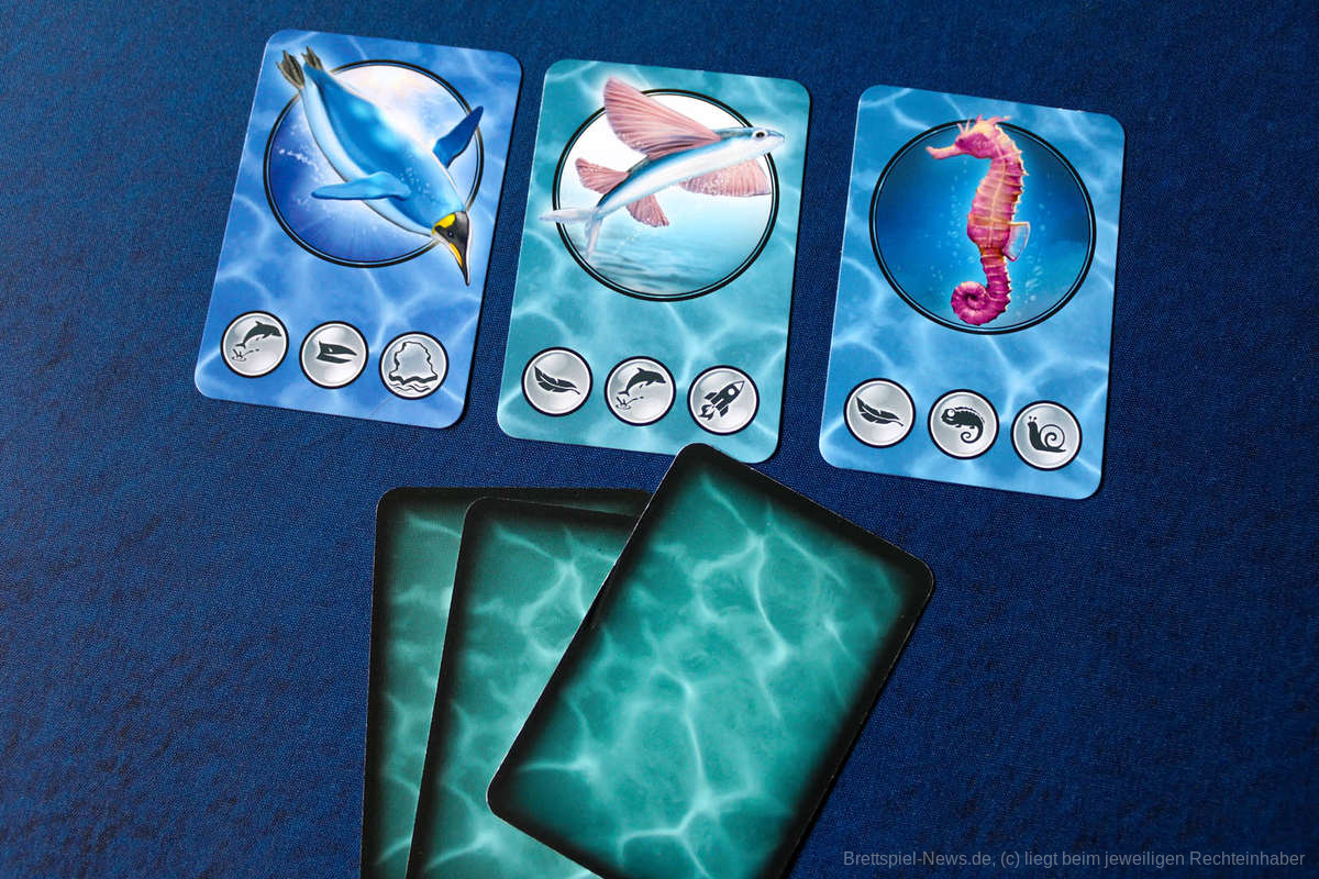 Meeresrauschen test 006