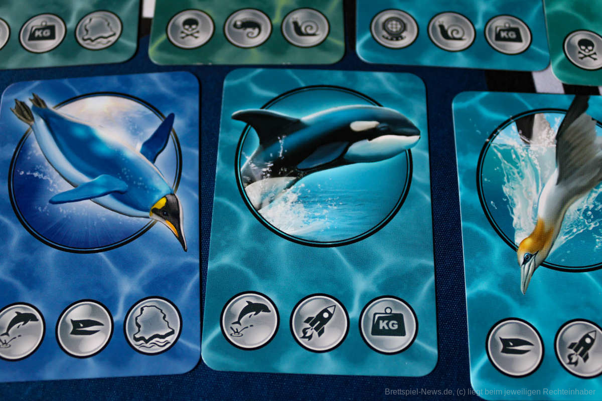 Meeresrauschen test 008