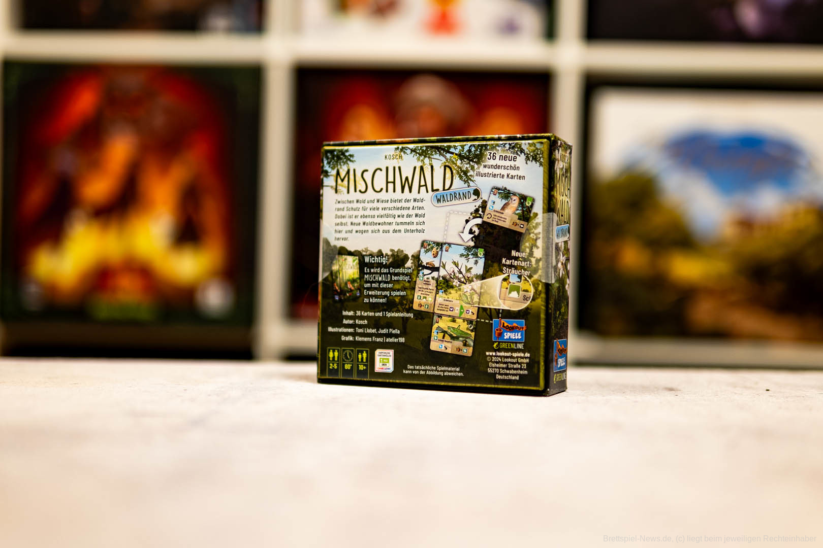 mischwald erweiterung 001