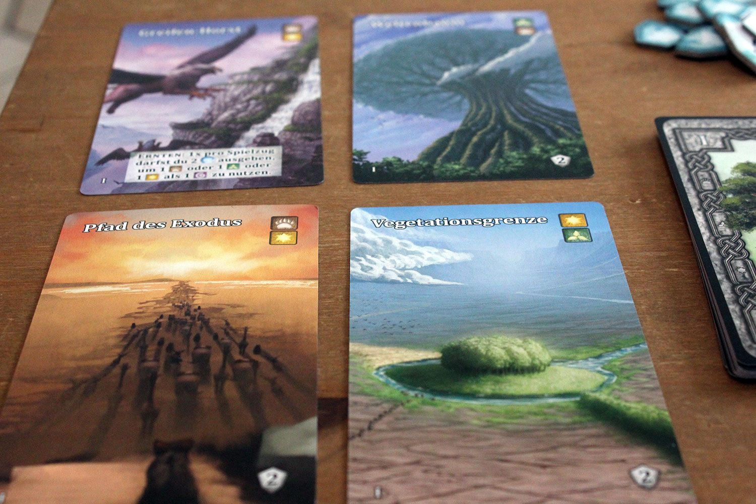 Mystic Vale das “Cardbuilding”-Spiel von Pegasus Spiele im Test