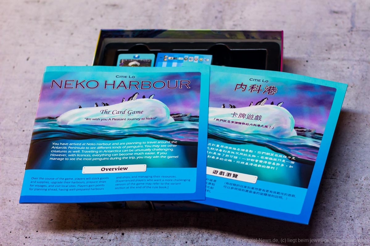 neko habour the card game 13