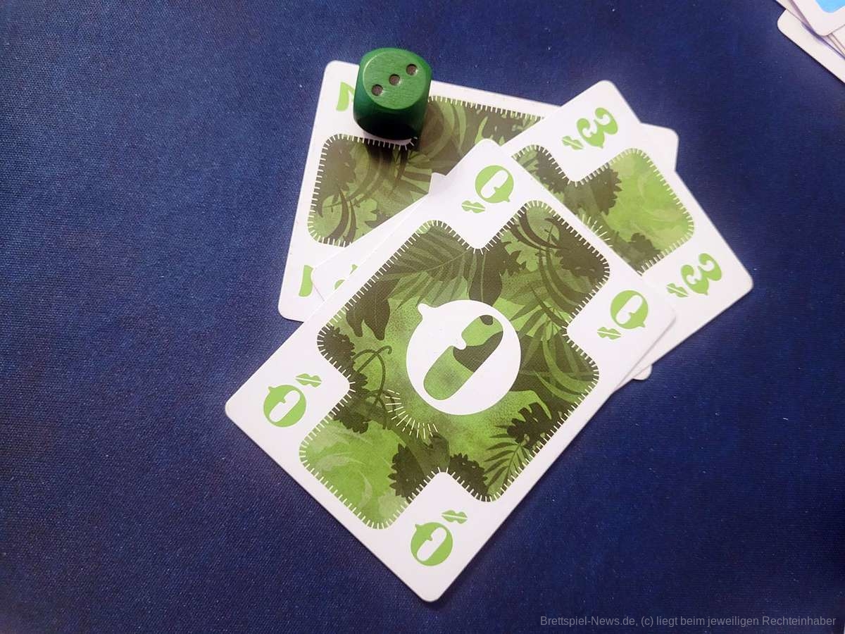 nokosu dice test 003