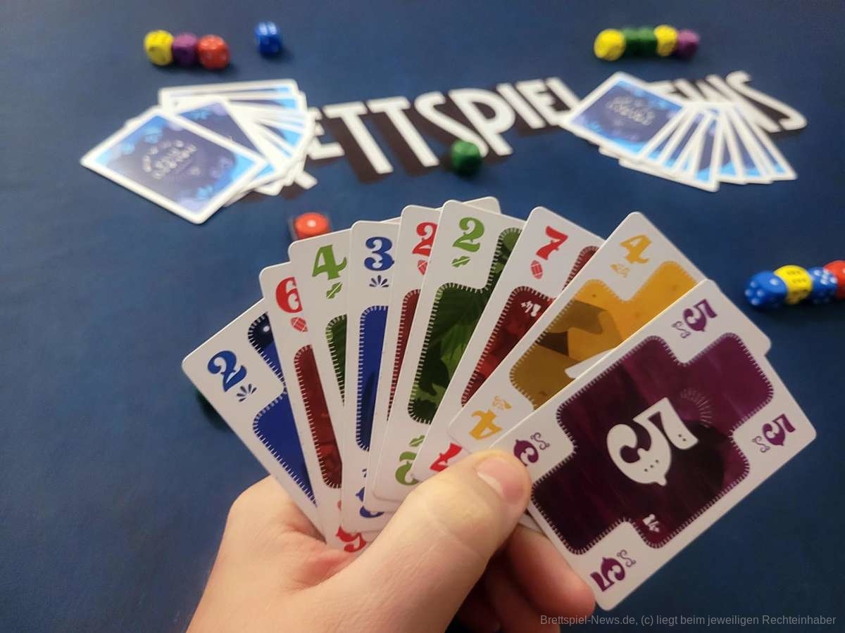 nokosu dice test 005